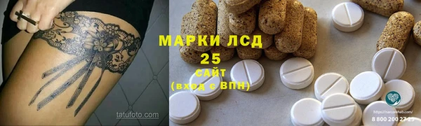PSILOCYBIN Волосово