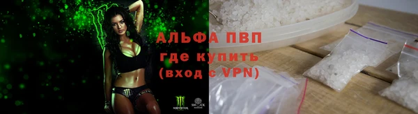 индика Вязники