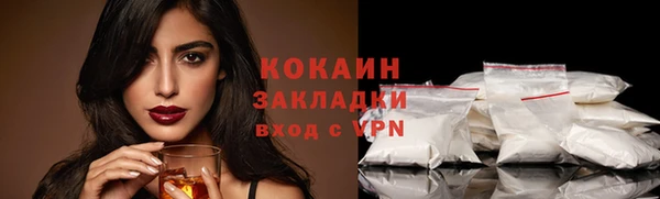 PSILOCYBIN Волосово