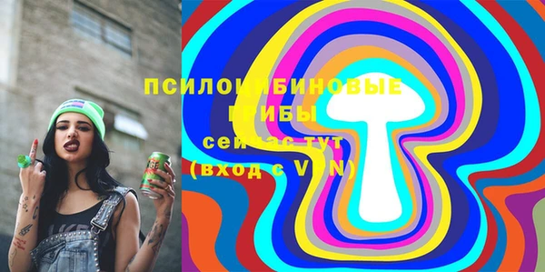 PSILOCYBIN Волосово